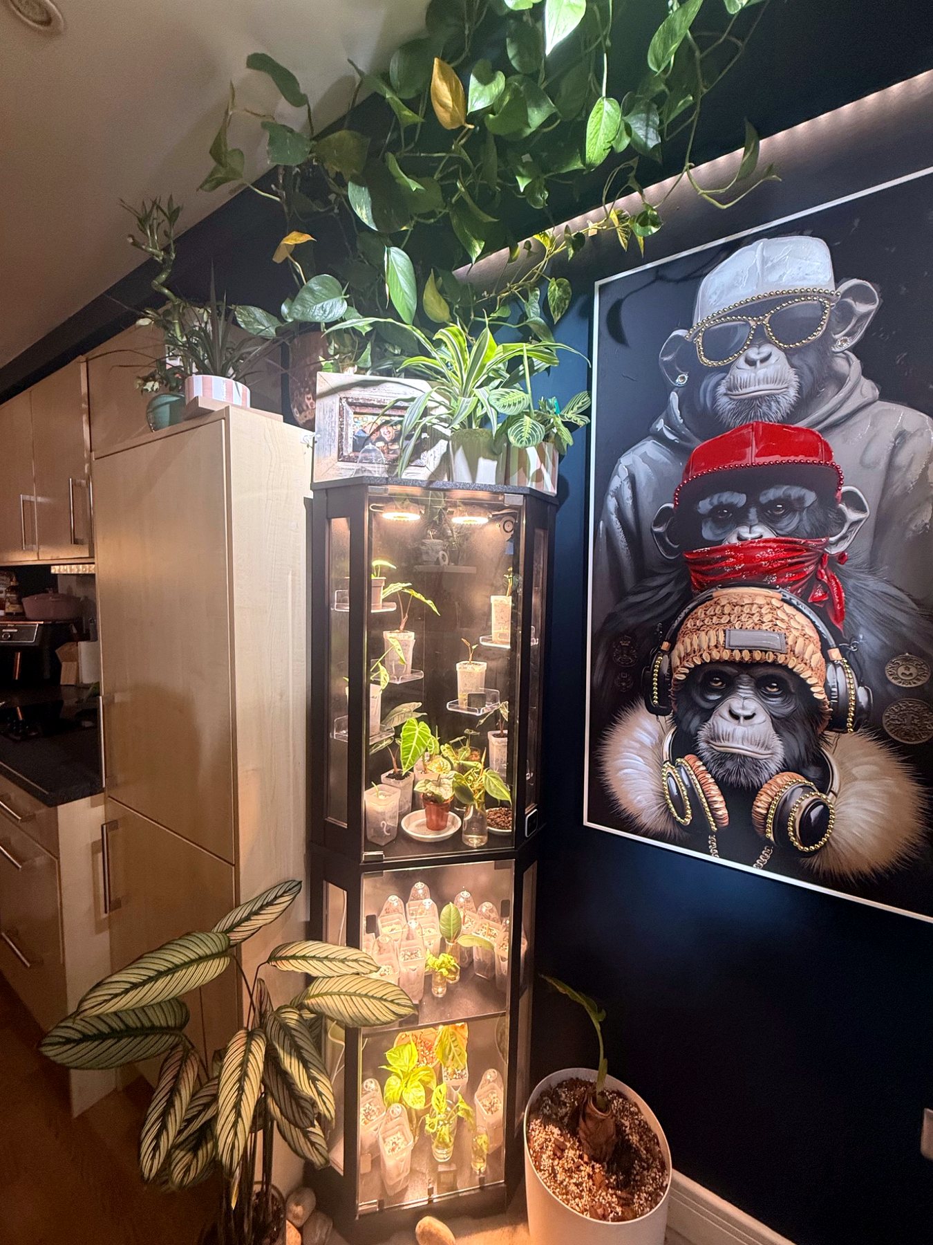 Indoor propagation cabinets with plant lighting